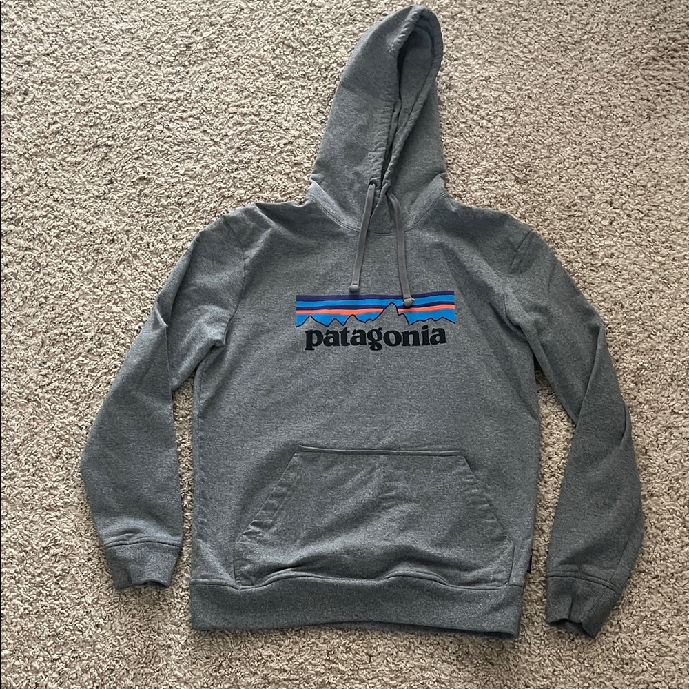 Patagonia Gray Hoodie with Blue Accents